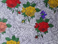 DSC00204